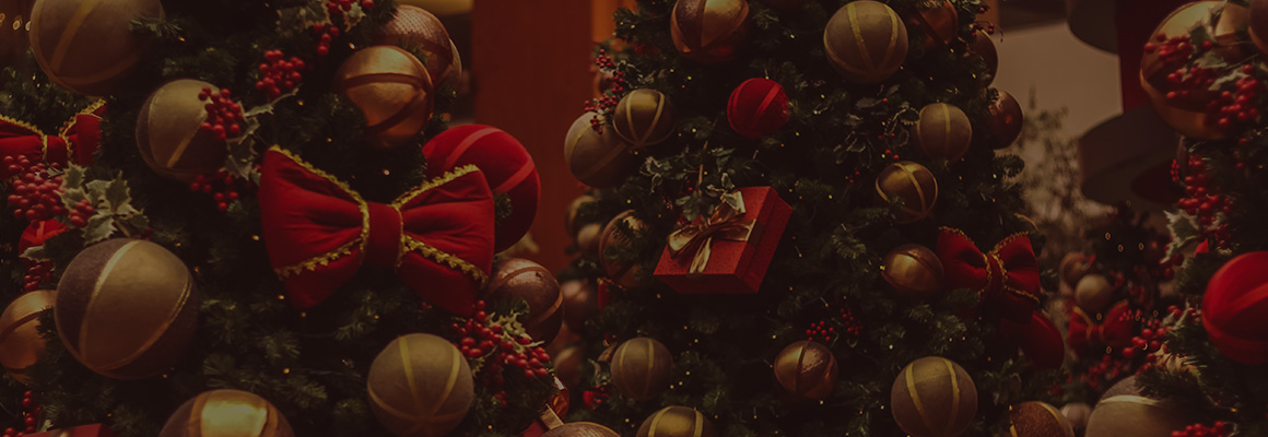 promo-banner-image